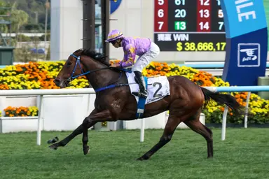 Road to the Derby: Elite four-year-olds chasing “Once-In-A-Lifetime Glory”