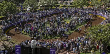 Breeders' Cup Friday handle down almost 9 percent