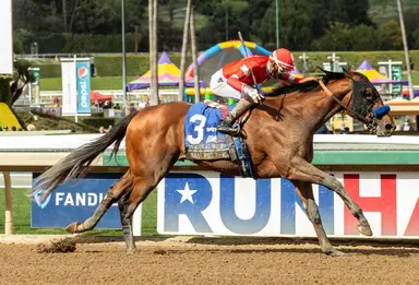Kimura picks up mount on Japan shipper Mandarin Hero in Santa Anita Derby