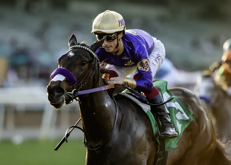 Light Won Up ins1 200.jpg