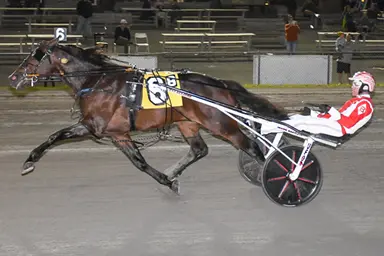 Oak Grove:  Bartlett happy with 'professional' Trotting Derby finalist Spencer Hanover