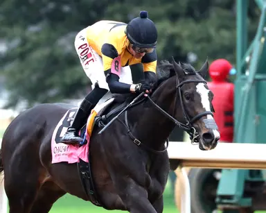 Casse has three pointing to Kentucky Oaks preps