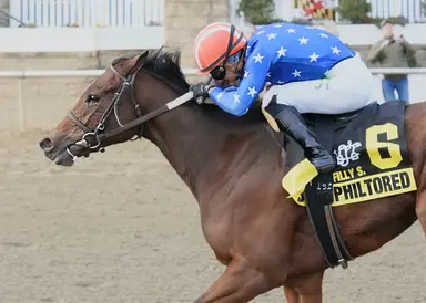 Only for Now needs best behavior for stakes debut in Stormy Blues