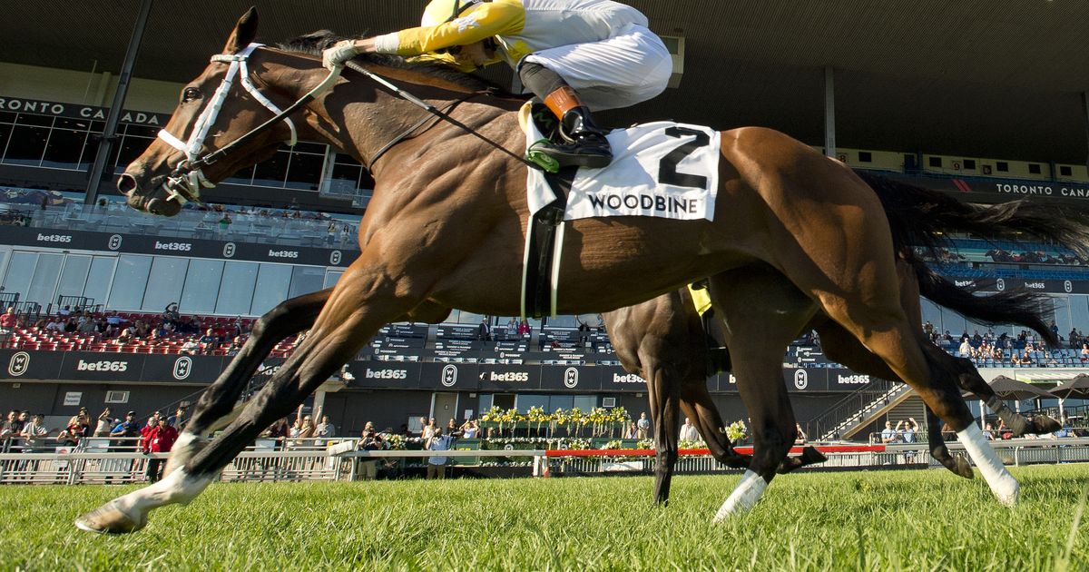 Dixie Law holds off Katie's Grace in Wonder Where Stakes