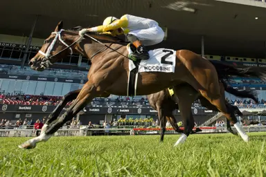 Dixie Law holds off Katie's Grace in Wonder Where Stakes