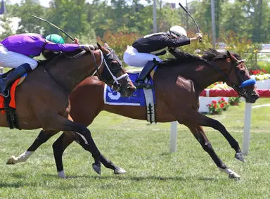 Wild Applause, Saranac lure large fields of up-and-coming 3-year-olds