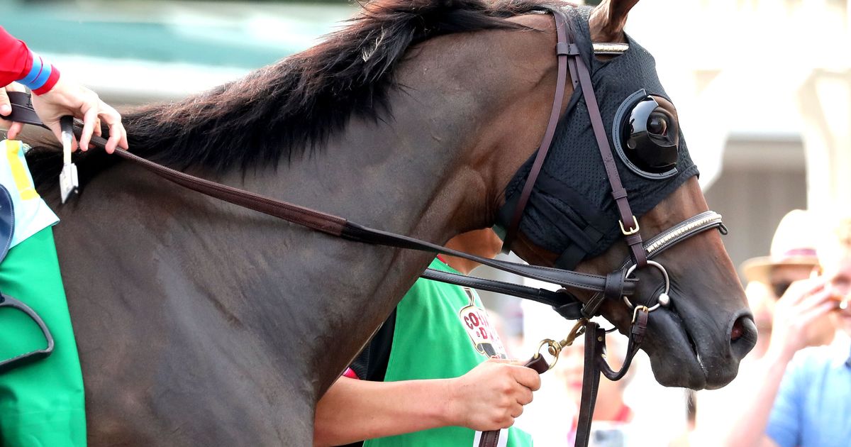 Burnham Square will stay at Kentucky home remainder of year, trainer says