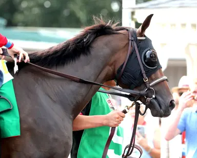 Burnham Square will stay at Kentucky home remainder of year, trainer says