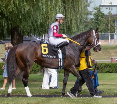 Reagan's Flame looks to land another synthetic win in Presque Isle Masters