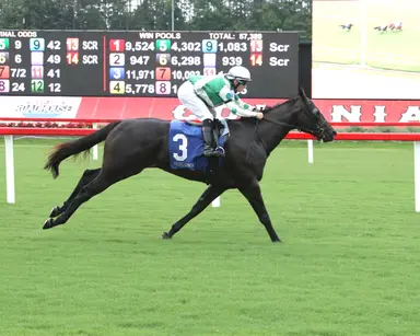 Green Beans earns shot at stakes in Edward P. Evans