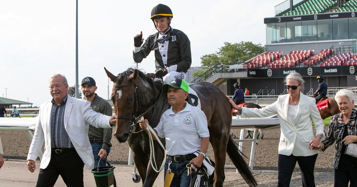 Katie's Grace should relish turf in Wonder Where