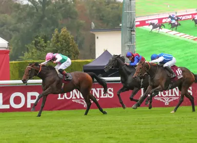 France: Bluestocking looks sharp in taking Prix de l’Arc de Triomphe