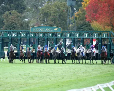 DRF's Horse Racing Playbook for Wednesday, October 11, 2023