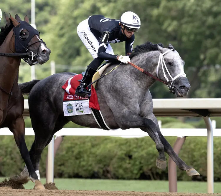 Seize the Grey during Belmont Stakes at SAR June 8 2024