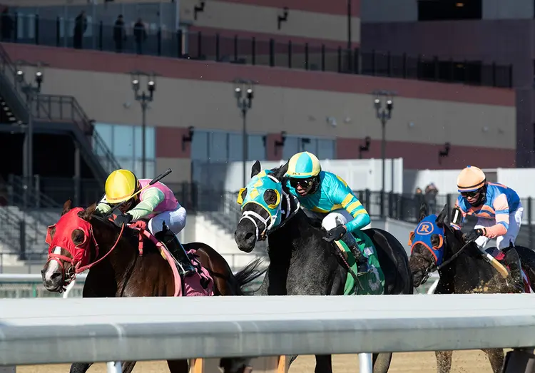 Aqueduct racing, Tale of Mist wins a claiming race
