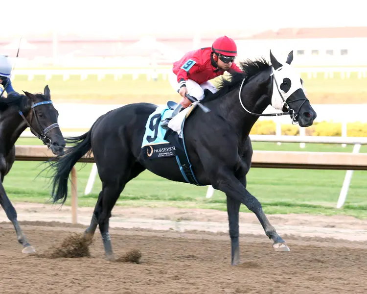 C J'S STORM - To Much Coffee - 28th Running - 10-01-25 - R09 - Horseshoe Indiana - Finish 02 - Devin Hall.jpg