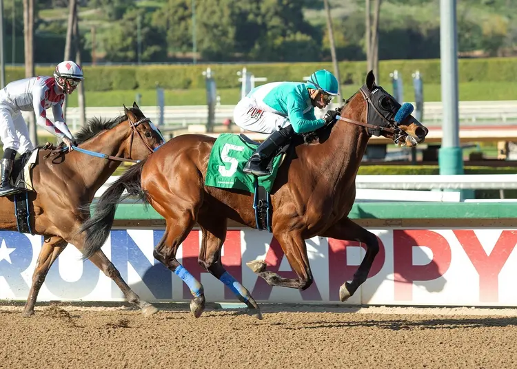 Moose Mitchell wins at SA March 7 2022