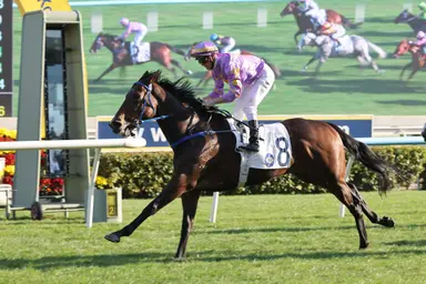 Road to the Derby: Jimmy Ting's Little Paradise charges into Classic Mile contention