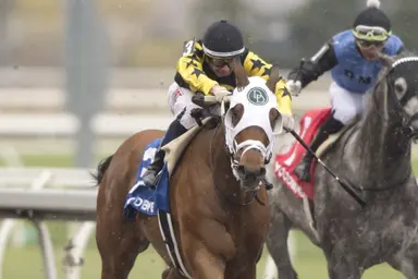 G T Five Hundred edges Scorching in Thorncliffe Stakes