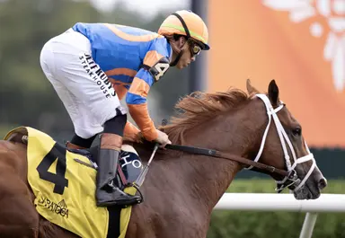 Teleport looks to be class of turf mile feature at Woodbine