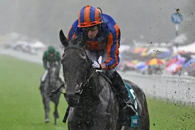 France: Whirl will be the star of Arc preview day