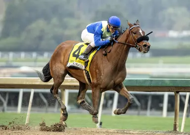 Coast to Coast Pick 5 play for Saturday, March 9, 2024