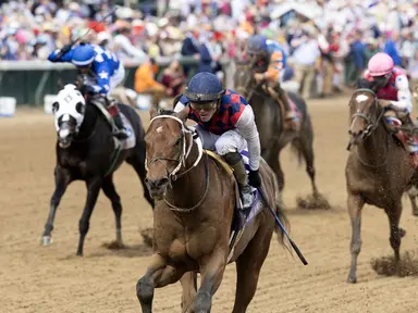 Gun Pilot back home at Three Chimneys