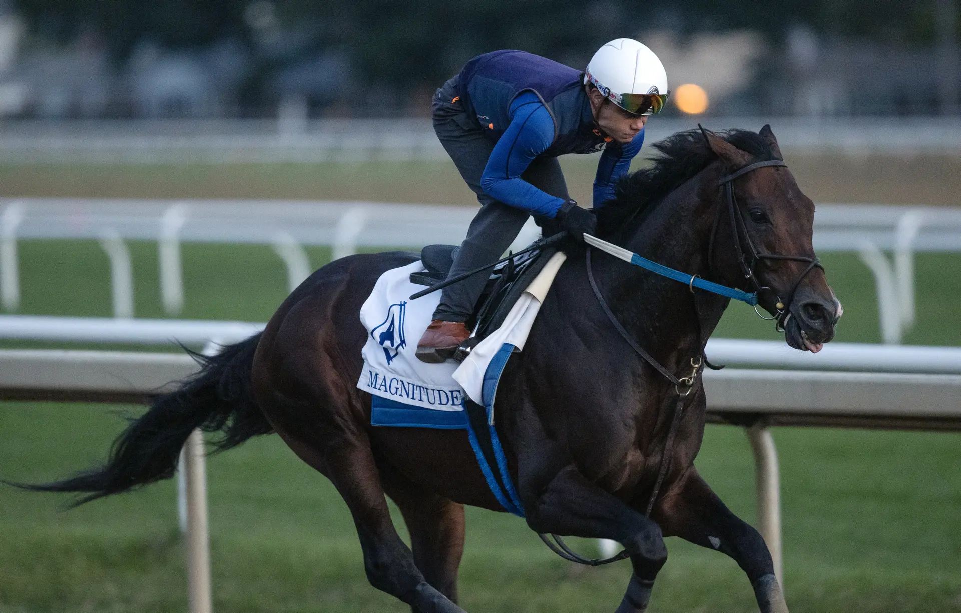 Prat lands on Magnitude for Breeders' Cup Classic