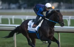 Magnitude breezes half-mile for BC Classic following Asmussen's big day at Saratoga