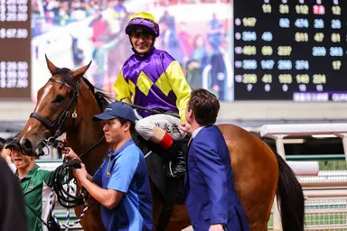 King aims to rule Valley again, Sweynesse and Bubble impress in trial session