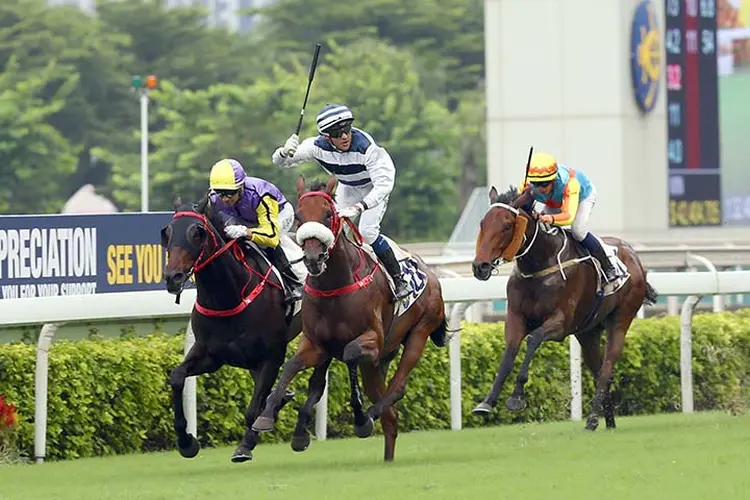 Harmony Victory wins a Class 1 race at Sha Tin Racecourse on July 14