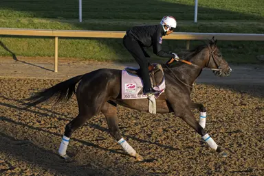 The late Arrogate sire of two Kentucky Oaks runners