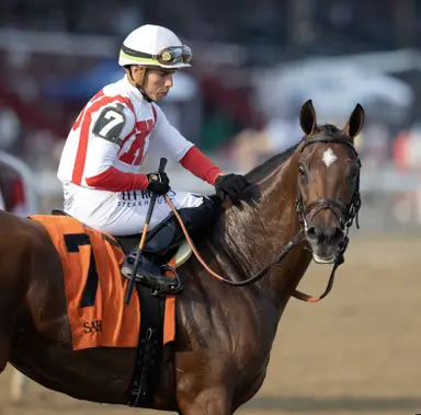 McKulick sells for $6 million to top Fasig-Tipton Kentucky fall selected mixed sale