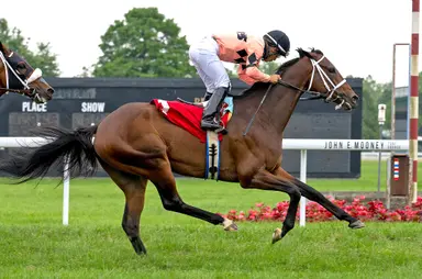 Weekend GamePlan: Picks for Jonathan Schuster Memorial, Cornhusker Handicap, Bowling Green