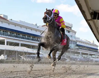 Weekend GamePlan: Picks for Peter Pan, San Luis Rey, Royal Palm Juvenile Fillies