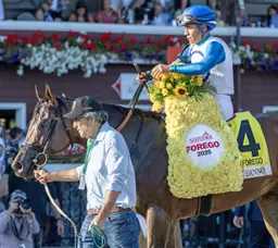 Book'em Danno works toward Forego repeat bid