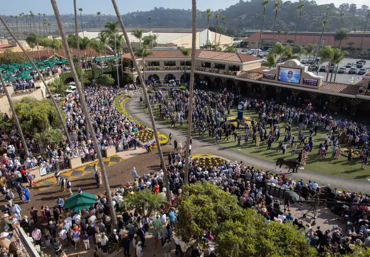 Breeders' Cup scenic.Paddock.Del Mar.11-1-25.JNL_.jpg