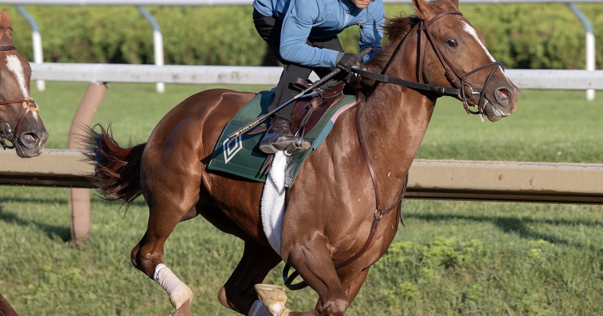 Asmussen hopes to continue Juvenile Mile trend with Jas