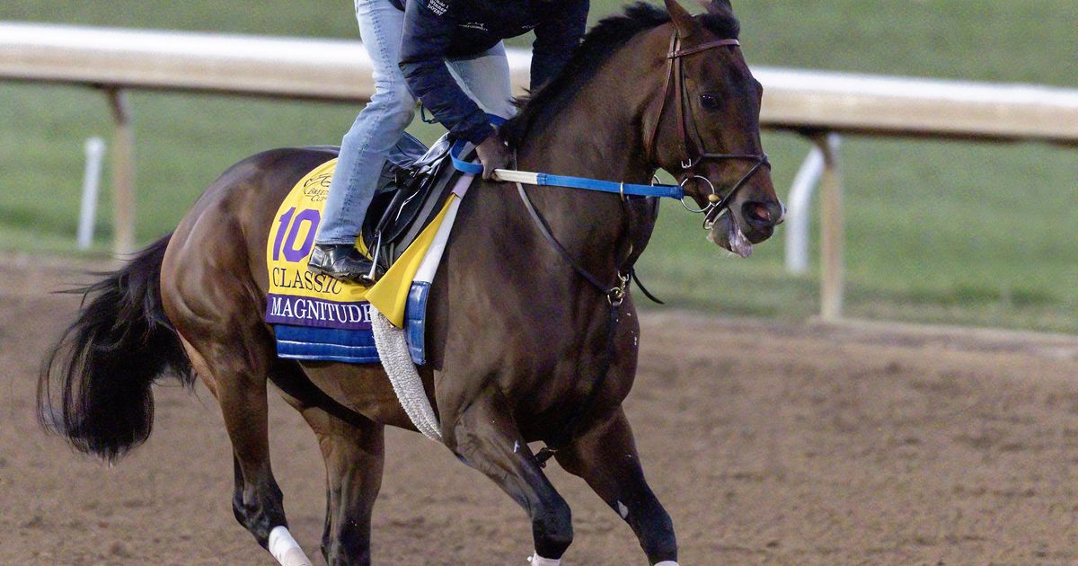 Breeders' Cup Classic: Magnitude scratched with left foreleg injury