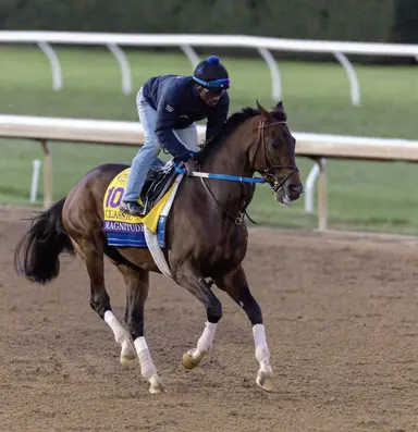 Breeders' Cup Classic: Magnitude scratched with left foreleg injury