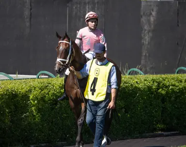 Outlaw Kid back for more in Vice Regent