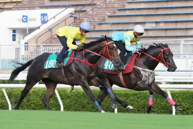 Lucky Sweynesse limbers up for Sunday’s Sha Tin season-opener with impressive trial