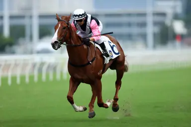 Pierre Ng to decide on G1 Chairman’s Sprint Prize plans for Beauty Waves this weekend