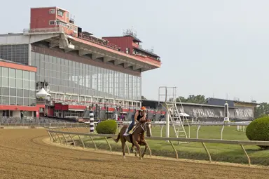 Preakness 2023: Free picks and analysis from Daily Racing Form handicappers