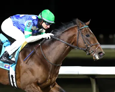 Street Beast makes statement with Leonatus Stakes