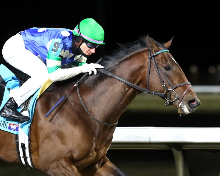 STREET BEAST - The Leonatus Stakes - 01-17-26 - R08 - Turfway Park - Finish 04 - Renee Torbit.jpg