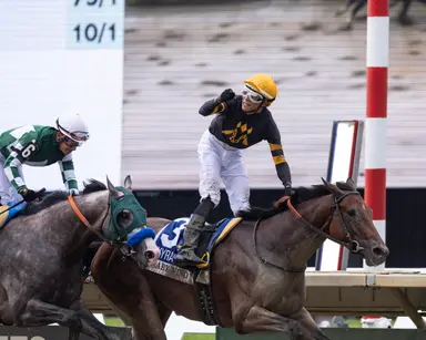 Baby Vino pulls off 28-1 shocker in Haskell Stakes