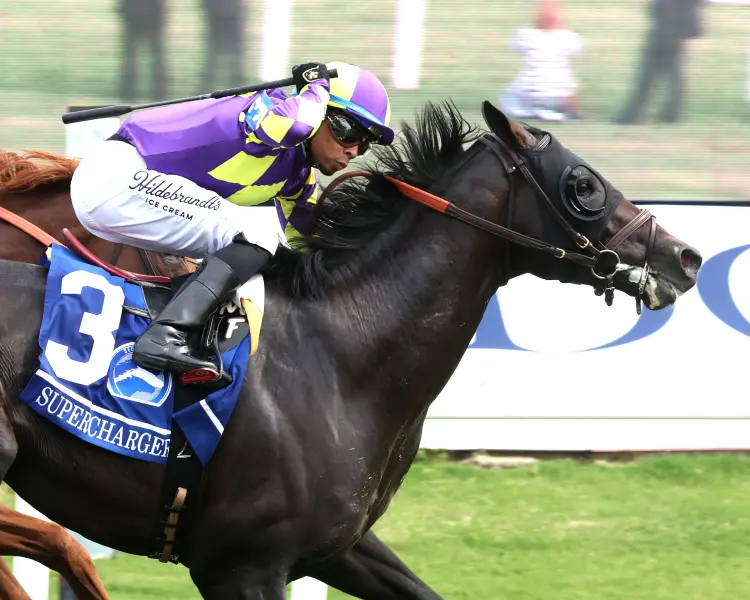 SUPERCHARGER - The Secretariat G2 - 08-01-26 - R09 - Colonial Downs - Finish 03 - Hunter Fridley