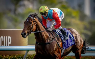 Ka Ying Rising, Romantic Warrior headline FWD Champions Day entries