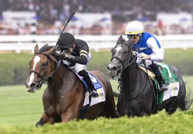 Live longshots square off